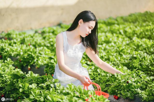 女人最聪明的离婚方式，女人聪明的离婚方式（优雅离婚的方式：铺好三条路）