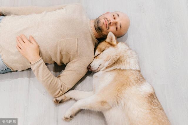 怎样看出幼犬认主人了，狗狗喜欢主人的表现（狗狗认定你是主人的9个表现）