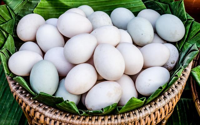 鸡蛋和鸭蛋能一起吃吗，鸭蛋和鸡蛋能一起吃吗（鸡蛋、鸭蛋等各种蛋类）