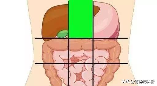 肚子痛到底是哪里痛？一张图了解腹部器官