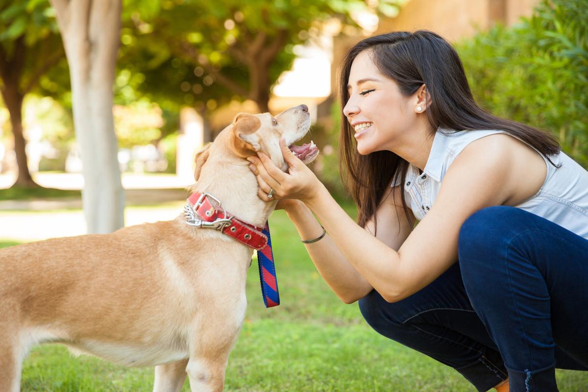 犬儒不友好？这样搞定你的宠物（解析如何让你的狗狗喜欢上你）