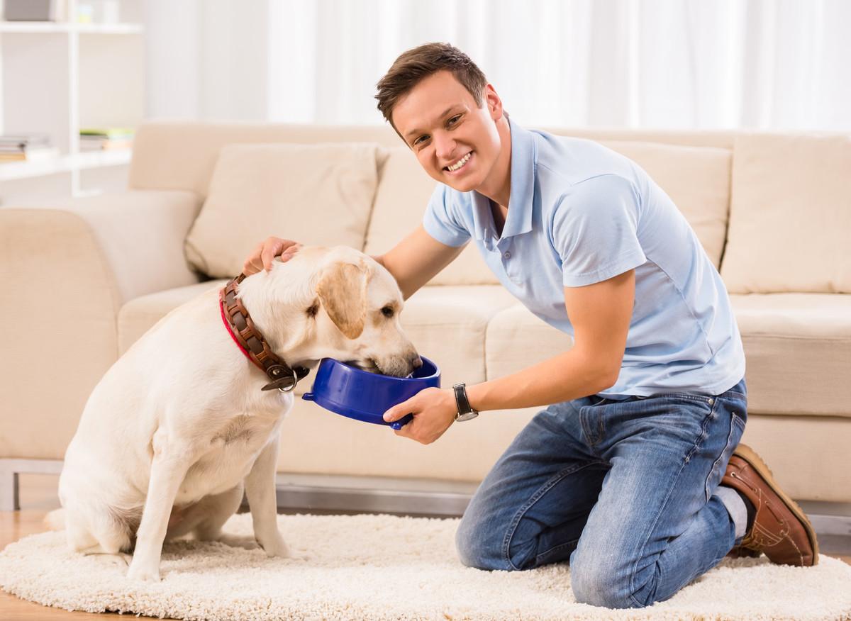 犬儒不友好？这样搞定你的宠物（解析如何让你的狗狗喜欢上你）