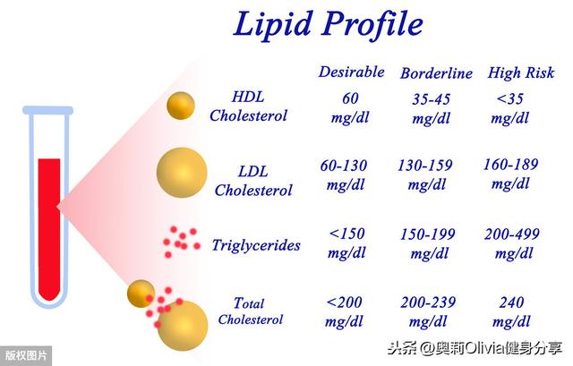 脂质有几大类，脂质的种类有哪些（脂肪真的那么可怕吗）