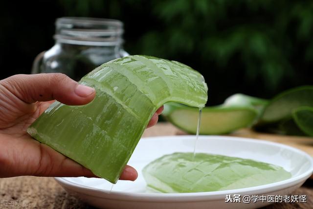 芦荟的功效与作用图片，芦荟的功效与作用可以去擦脸（每日一中药——芦荟）