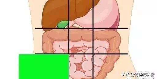 肚子痛到底是哪里痛？一张图了解腹部器官