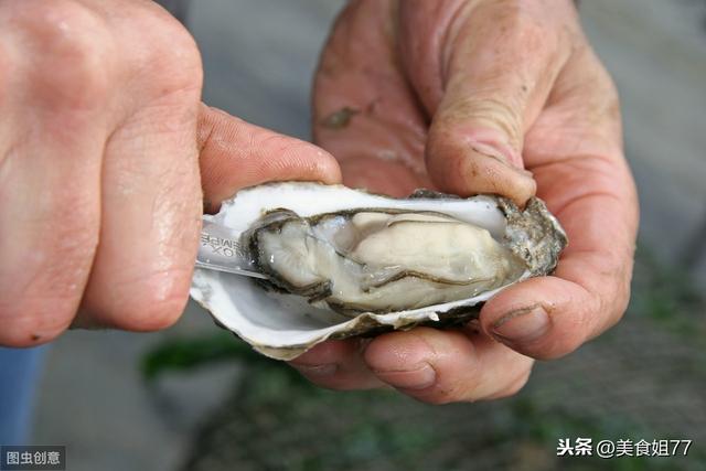 海蛎子和生蚝一样吗，生蚝和海蛎子是一样的吗（教你这样区分）