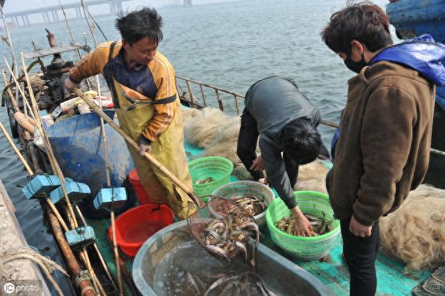 熟虾头虾酱制作方法，不仅可以炒鸡蛋、蒸蛋羹