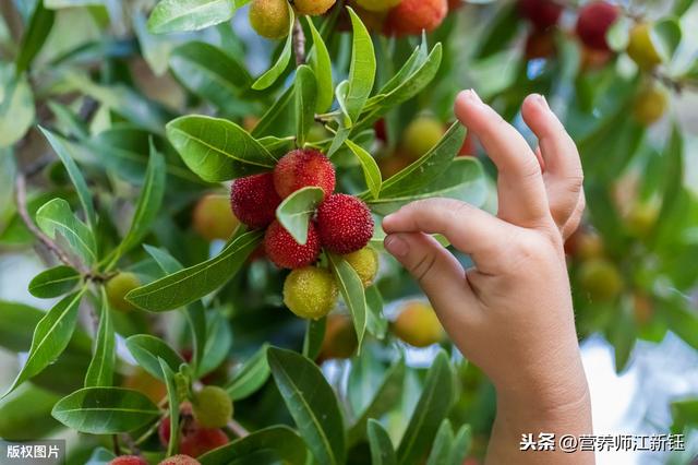 孕妇可以吃杨梅嘛，孕妇可不可以吃杨梅（要注意的问题都给你写在这了）