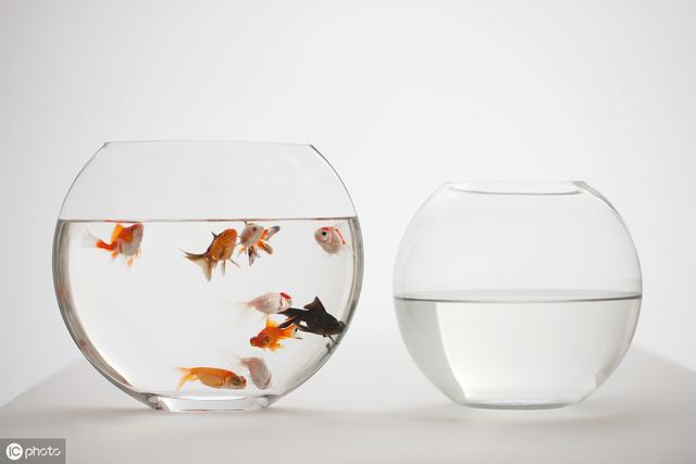 鱼缸应该放在客厅什么位置最佳，鱼缸放在客厅的最佳位置（家中的鱼缸应该放置在什么位置）