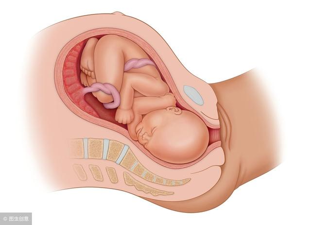 胎位不正的原因及纠正方法图片，胎位不正纠正方法（孕28周后会有22种胎位）