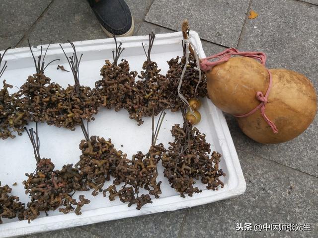 枣子的功效和作用是什么，枣子功效与作用及营养价值（解酒毒、治风湿、益气补血）