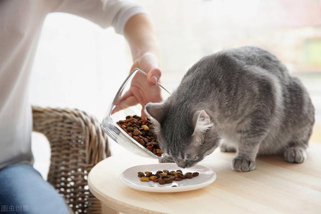 猫咪挑食怎么办，猫咪挑食怎么办3点解决