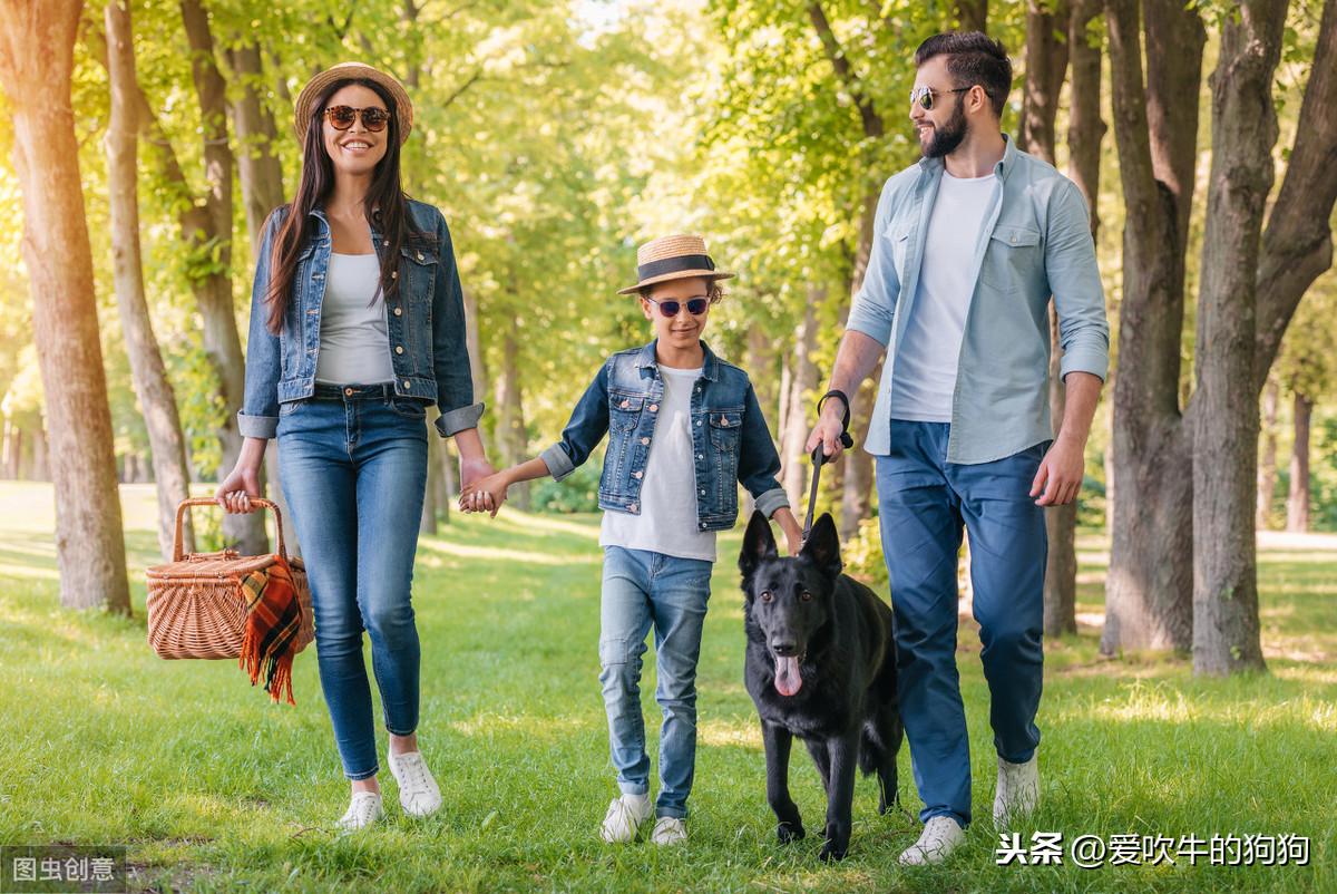 德国牧羊犬幼犬的饲养方法，牧羊犬怎么喂