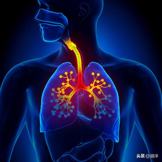百日咳和支气管炎区别，百日咳做什么检查就可以确定（支气管扩张的形成）
