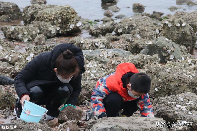 海蛎子和生蚝一样吗，生蚝和海蛎子是一样的吗（教你这样区分）