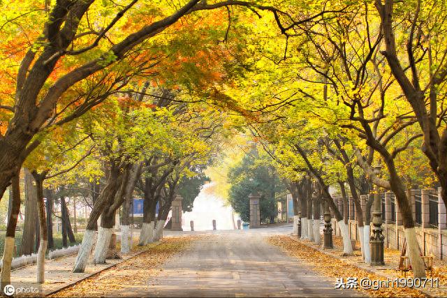 教你去青岛如何玩转八大关