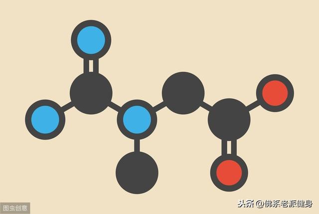 腺苷由什么组成，腺苷包括什么（<ATP>——新陈代谢的能量基础）