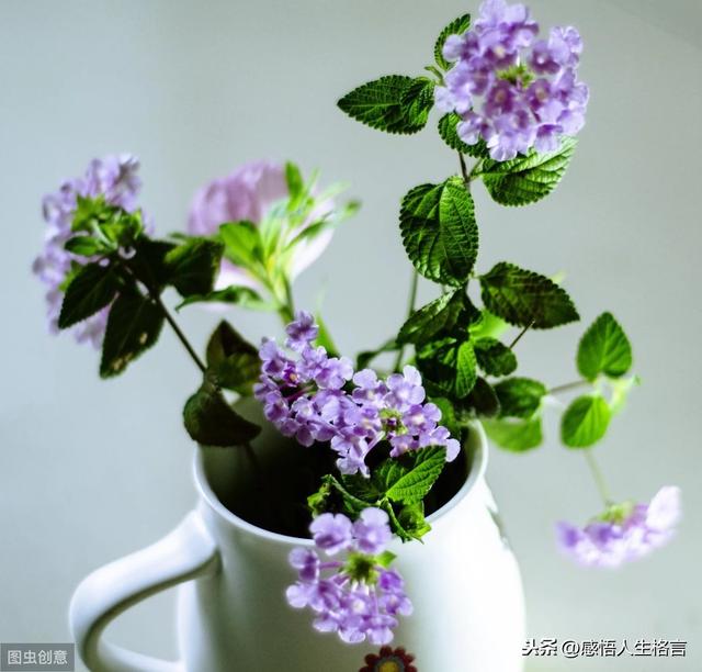 喜话大全顺口溜，主持吉祥话押韵顺口溜（现在娶媳妇顺口溜）