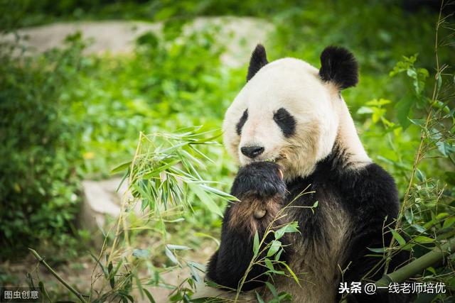 猛可以组什么词，猛可以组什么词语和拼音（二年级语文上册1-2单元每一课重点知识点小结）