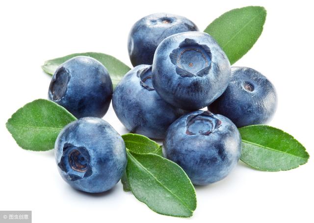蓝莓保存时间和方法，蓝莓的保存方法及保存时间（这么多年的蓝莓你存对了吗）