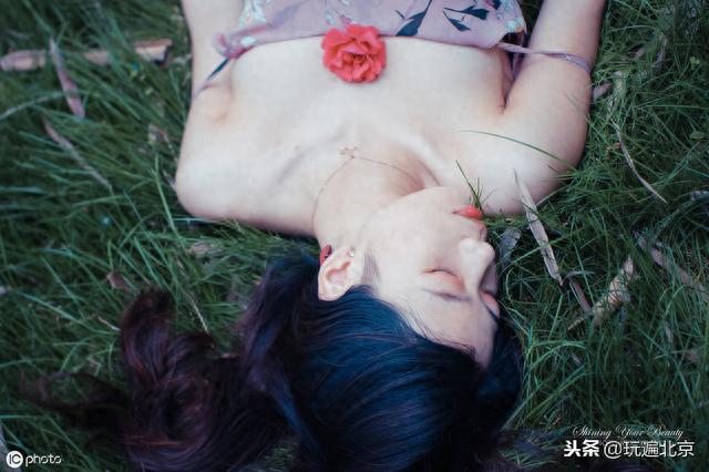满园春色关不住——丰台小屯公园