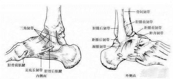 脚踝扭伤如何处理，扭伤脚踝如何处理（踝关节扭伤后需要注意哪些）