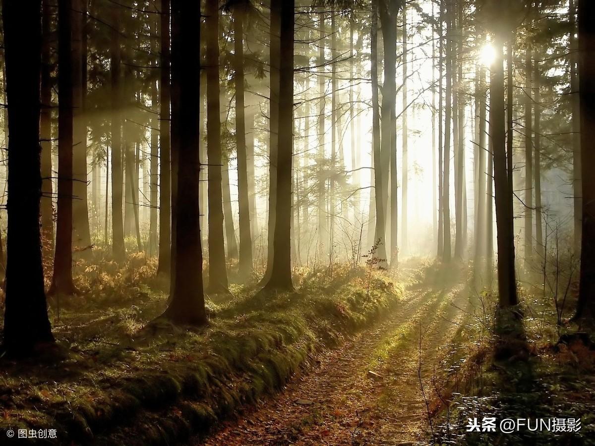丁达尔光线(丁达尔效应高级句子)