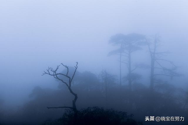 衡阳东站最后一班高铁是几点钟到，湖南省衡阳市公交线路一览表