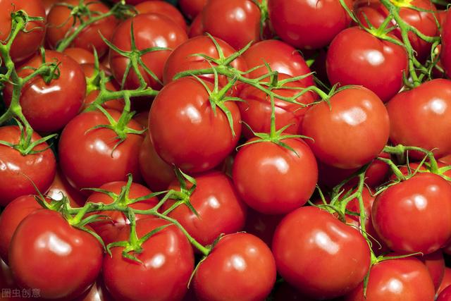 樱桃番茄的栽种方法介绍，盆栽樱桃番茄种植方法（樱桃番茄栽培要点）
