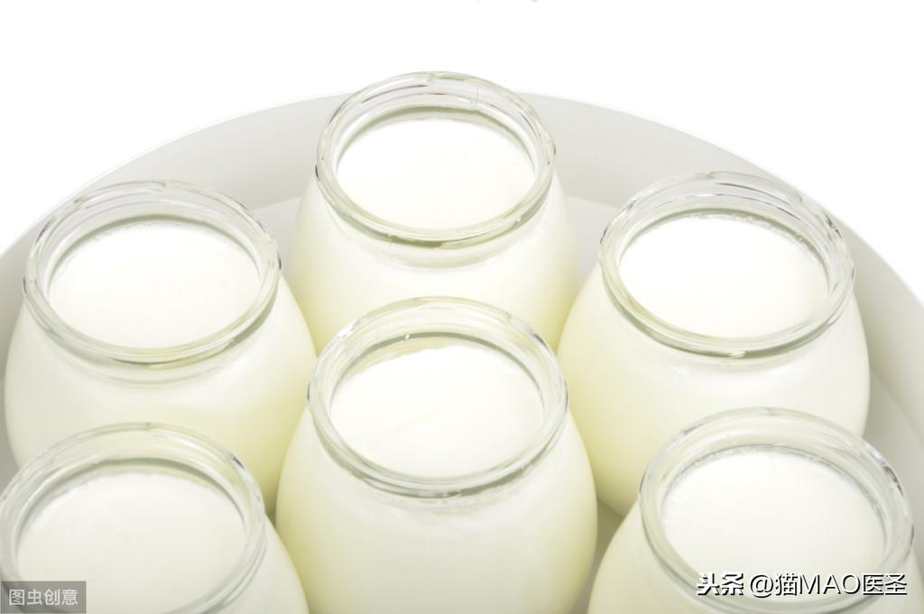 猫咪能喝酸奶吗(三个月小猫能喝酸奶吗)