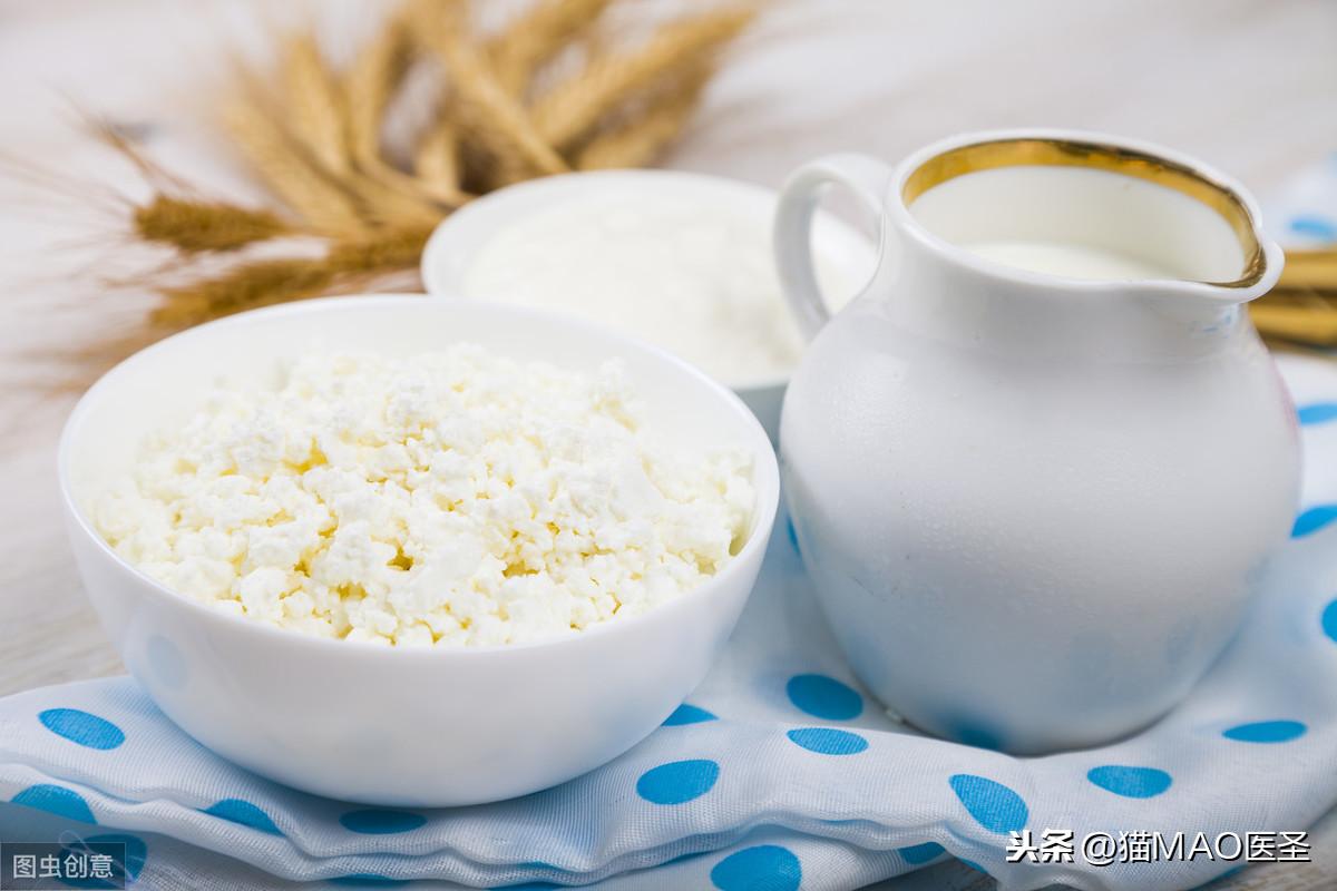 猫咪能喝酸奶吗(三个月小猫能喝酸奶吗)