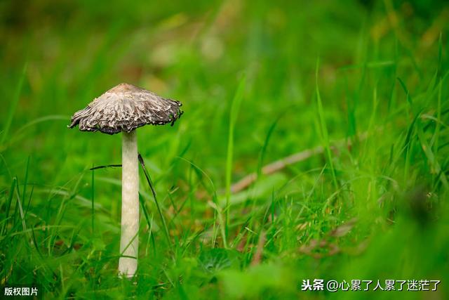 人生感悟的句子，许多相遇无处告别