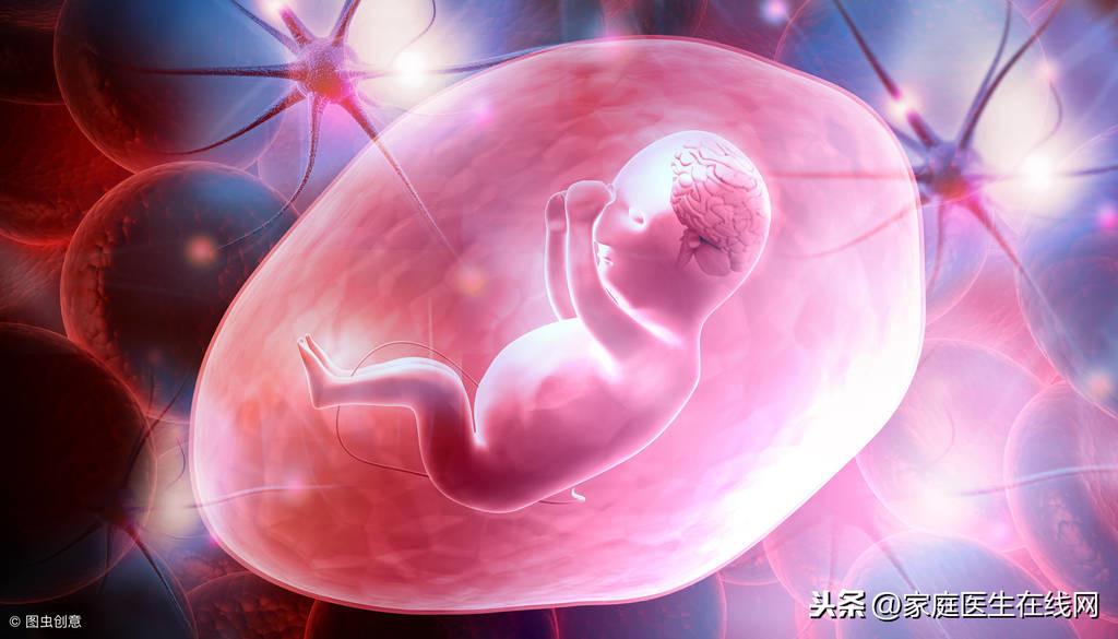 胎儿停止发育有哪些征兆?