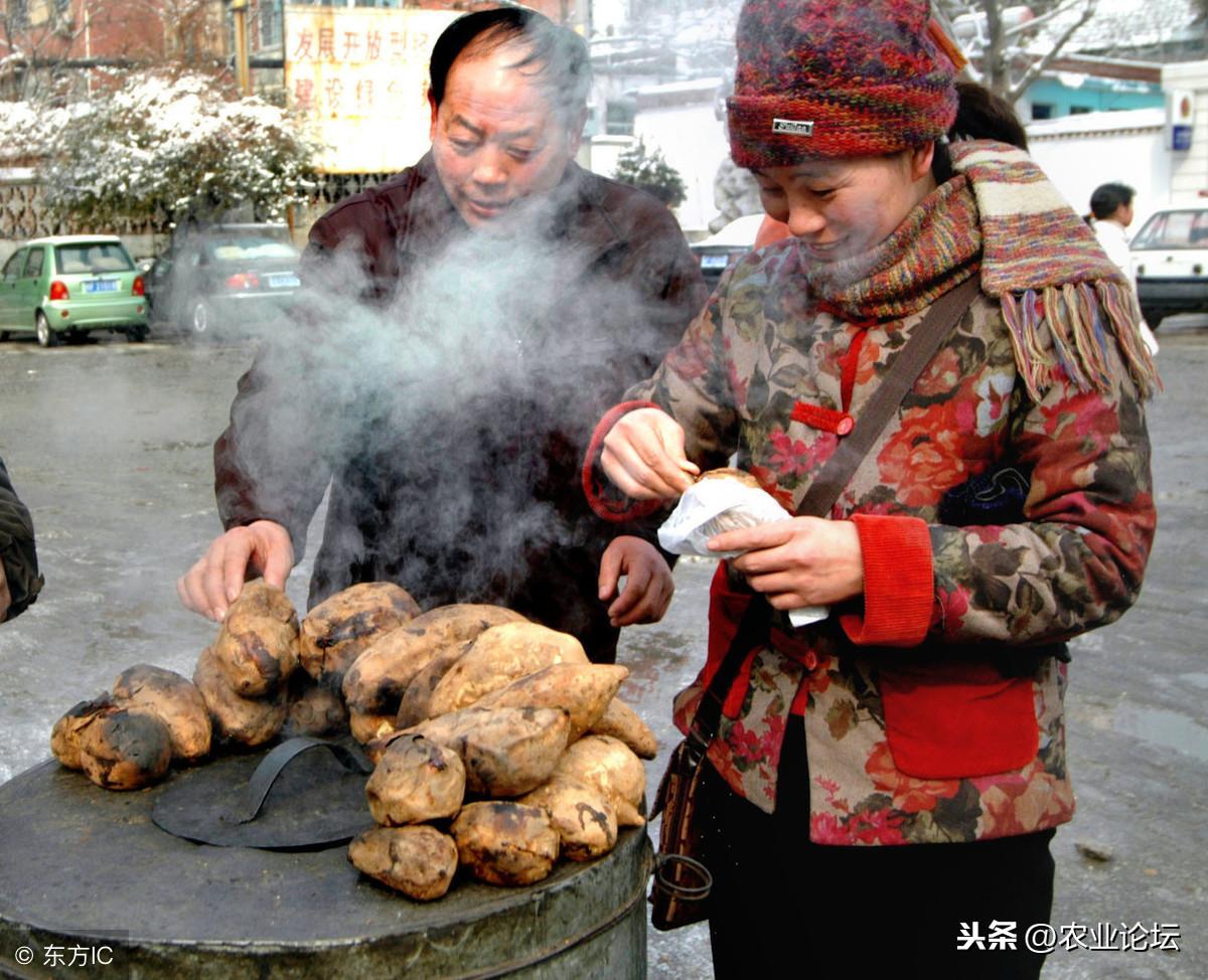 冬天干什么赚钱（冬天赚钱的4大商机解析）