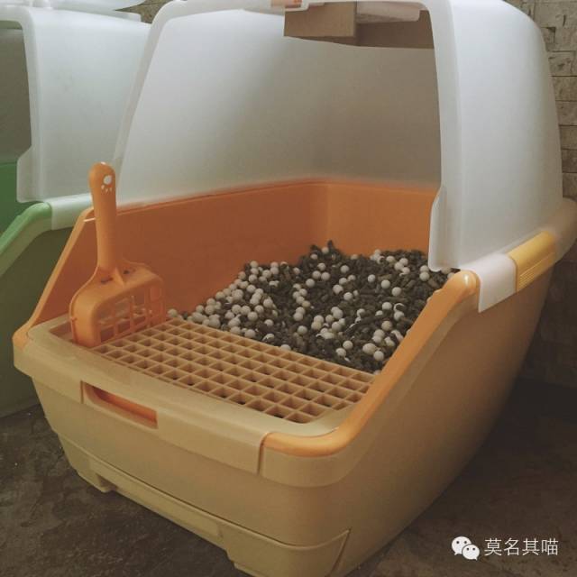 6kg多少磅，5kg是多少磅（膨润土/松木/玉米豆腐砂）