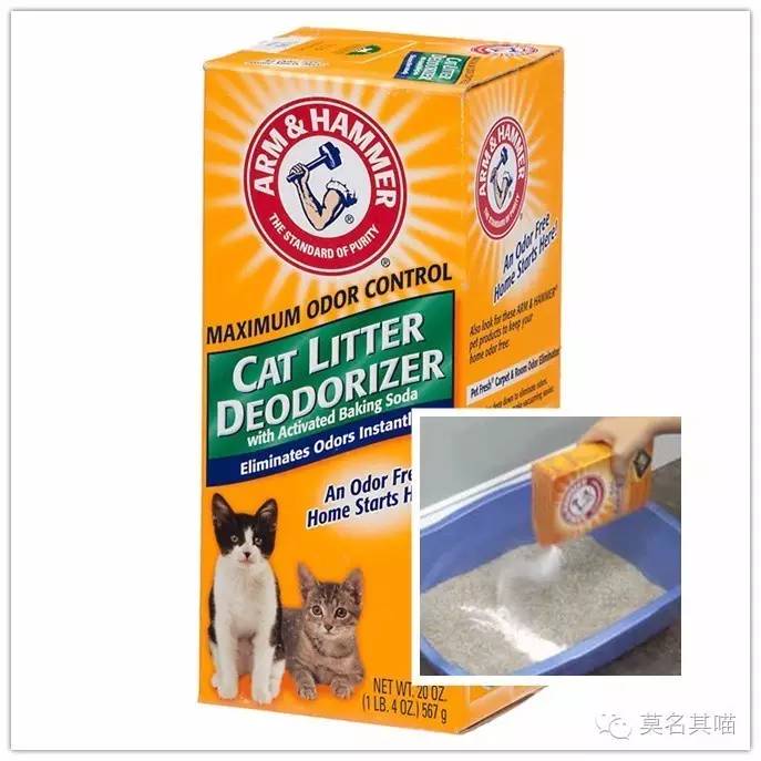 6kg多少磅，5kg是多少磅（膨润土/松木/玉米豆腐砂）