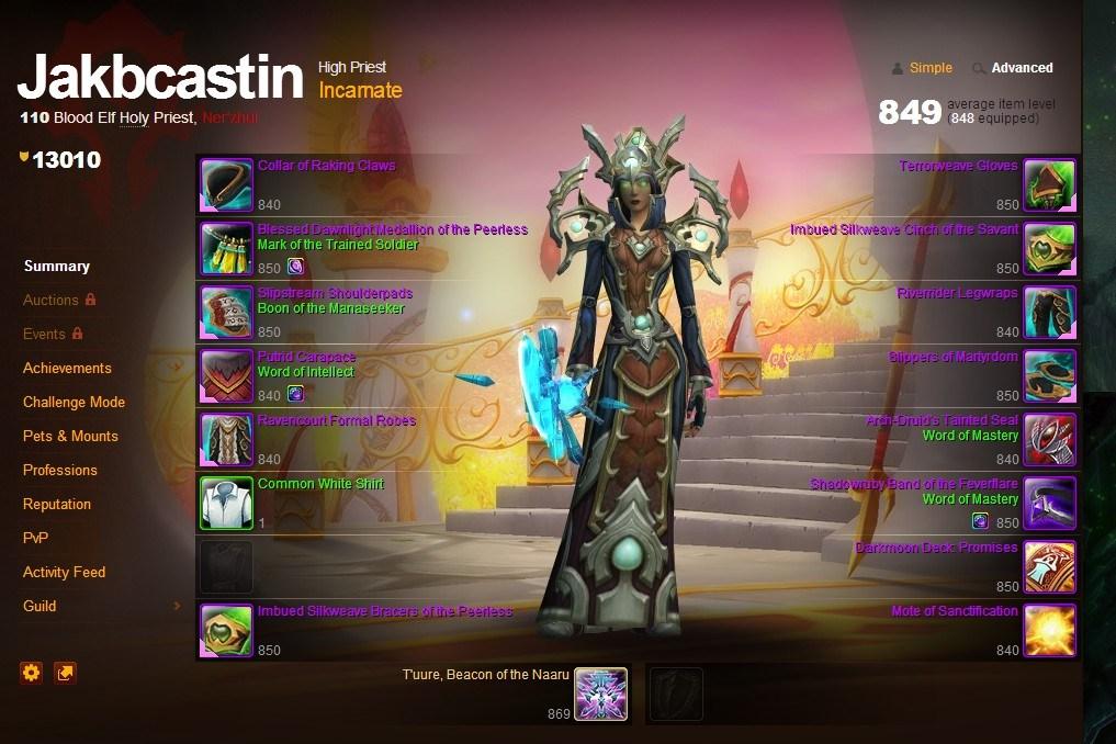 魔兽世界神牧堆什么属性，神牧属性优先级（团队副本欧美服神牧主流天赋属性及附魔选择）