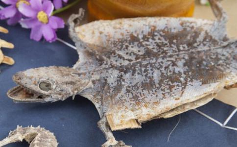 醋鳖甲的功效与作用及禁忌，醋鳖甲的功效与作用及禁忌症的功效与作用（鳖甲泡酒喝的禁忌）