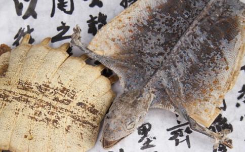 醋鳖甲的功效与作用及禁忌，醋鳖甲的功效与作用及禁忌症的功效与作用（鳖甲泡酒喝的禁忌）