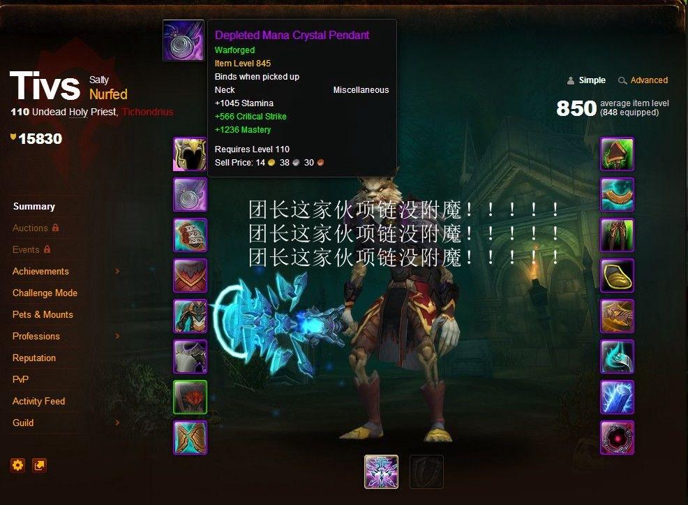 魔兽世界神牧堆什么属性，神牧属性优先级（团队副本欧美服神牧主流天赋属性及附魔选择）