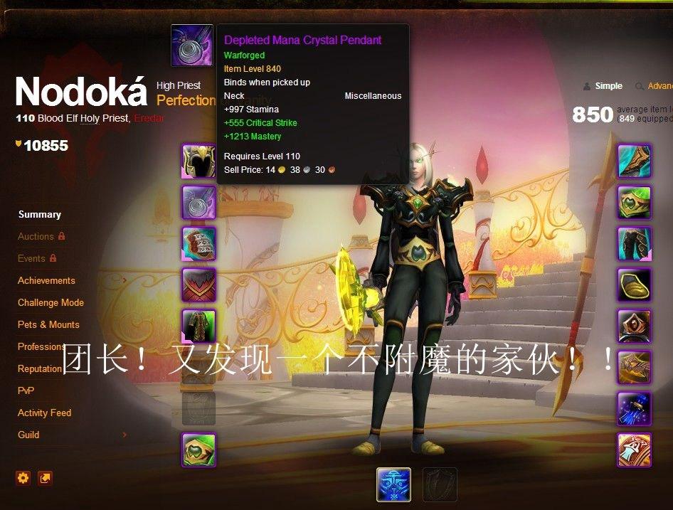 魔兽世界神牧堆什么属性，神牧属性优先级（团队副本欧美服神牧主流天赋属性及附魔选择）