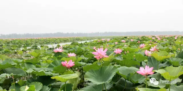 岳阳有哪些旅游景点，岳阳旅游必去十大景点（看到第二个我就按捺不住了）