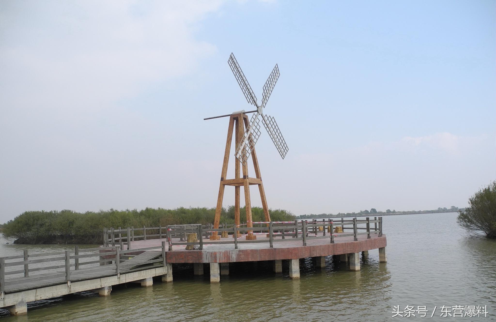 东营黄河口湿地公园一日游攻略，东营黄河口湿地公园一日游攻略图片（玩转东营之黄河口生态旅游区详细攻略）