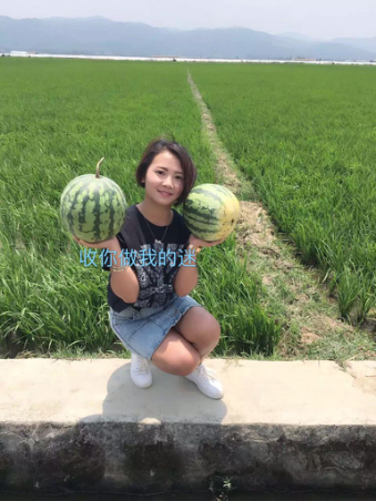  劲舞团戒指等级图，劲舞团手游最新戒指效果图