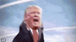 独赢是什么意思，上半场独赢是什么意思（这是一场赛马——美国总统竞选中的11个赛马用语）