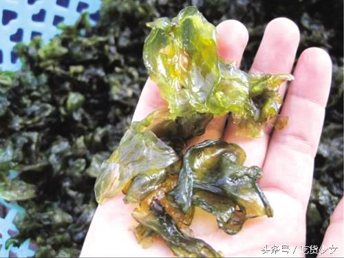 青苔可以吃吗，饮水桶里青苔怎么清洗（奶奶却说这是道不错的美味）