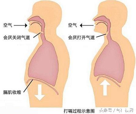 苹果醋的功效与作用，苹果醋的功效与作用及禁忌（苹果醋的15个好处）