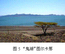 虹吸原理讲解，​何为虹吸现象？又是何原理