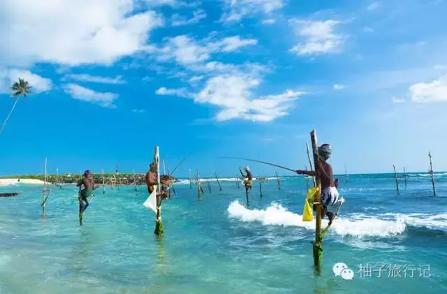 斯里兰卡旅游攻略，斯里兰卡旅游攻略花费（“给读者的”斯里兰卡旅游全攻略详细得不要不要的）