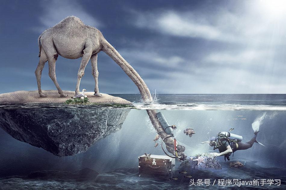 jsp是什么语言，jsp是什么（JSP 指令）